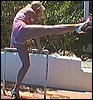 lippd06.jpg
