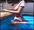 sippd30.jpg